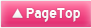 PageTop